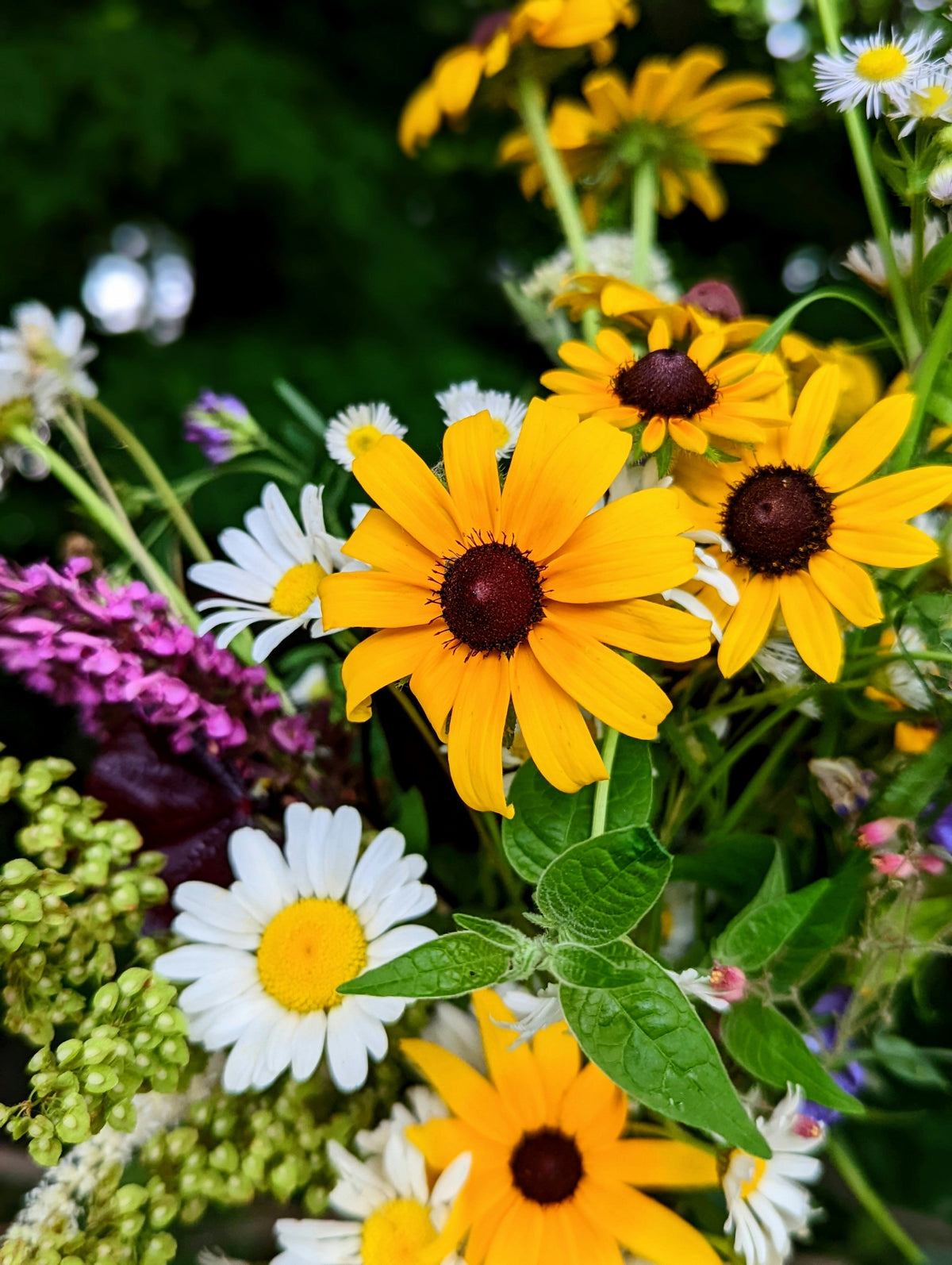 Des fleurs cultivées avec coeur